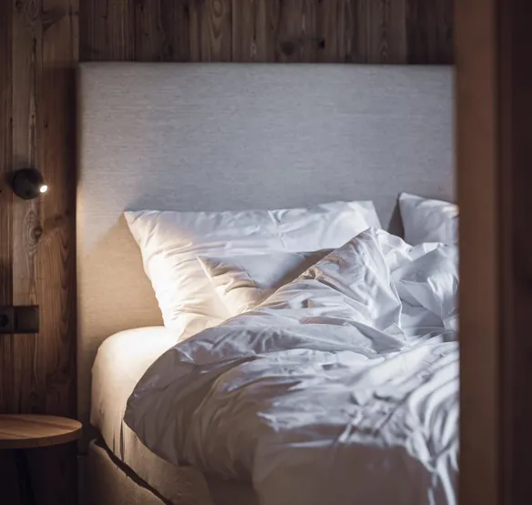 Landschaftschalet - Bild 3